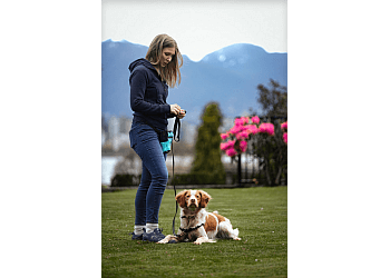Vancouver Dresseurs De Chiens Raintown Dog Training