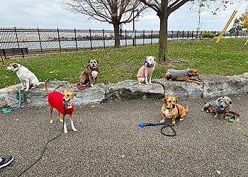 St Catharines dog trainer Raise The Woof! Niagara Dog Training!
