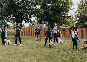 St Catharines Dresseurs De Chiens Raise The Woof! Niagara Dog Training!