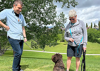Raising Canine Raising Canine - Calgary, AB Dresseurs De Chiens - Dog Training Image