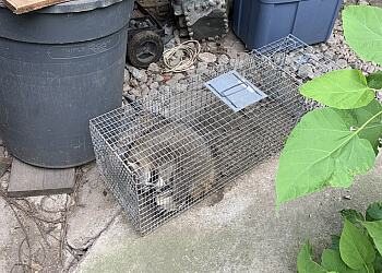 Ajax pest control Raja Pest Control Services