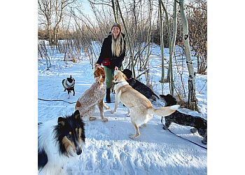 Calgary dog walker Ramble On Dog Walking & Pet Services