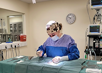 Ranch Docs Veterinary Services, Inc. - Lethbridge, AB Veterinary Clinics - Medical Procedure Image