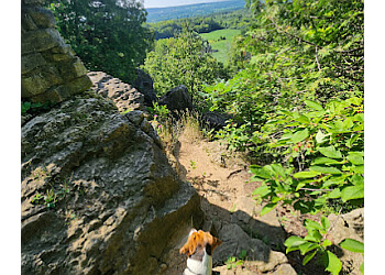 Milton hiking trail Rattlesnake Point