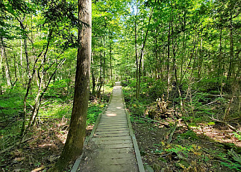 Milton hiking trail Rattlesnake Point