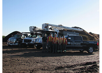 Waterloo Services d'arboriculteur Rayzor Edge Tree Service