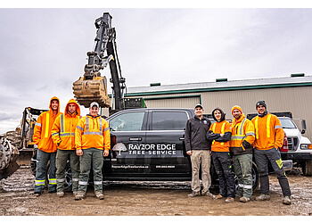 Waterloo Services d'arboriculteur Rayzor Edge Tree Service