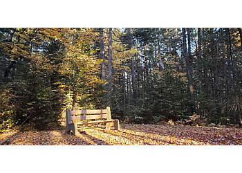 Fredericton Parcs Publics Reading Street Park