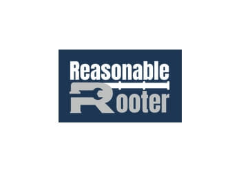 Reasonable Rooter