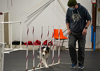 Red Barn Event Centre Red Barn Event Centre - Barrie, ON Dog Trainers - Dog Training Image
