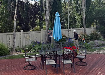 St Albert Services d'arboriculteur Red Willow Tree Service