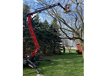 Sarnia tree service Redick Professional Tree Care