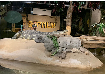 Vaughan places to see Reptilia