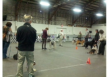 3 Best Dog Trainers in Victoria, BC - Expert Recommendations