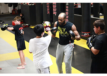 Toronto Arts Martiaux Revolution MMA Gym & Fitness Inc.