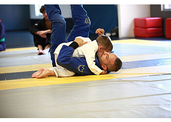 Toronto Arts Martiaux Revolution MMA Gym & Fitness Inc.