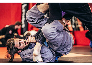 Langley martial art Revolution MMA