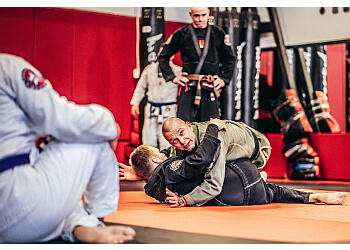 Langley martial art Revolution MMA