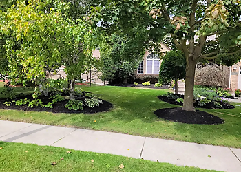 Aurora Service D'Entretien De Pelouse Rich Lawn Maintenance