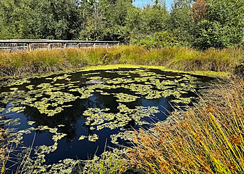 Richmond Nature Park - Richmond, BC Landmarks - Scenic View Image
