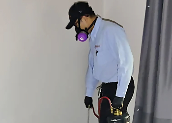 Burnaby pest control Ridall Pest Control