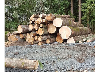 Maple Ridge tree service Ridge Meadows Tree Service