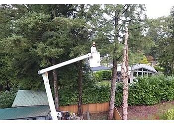Maple Ridge tree service Ridge Meadows Tree Service