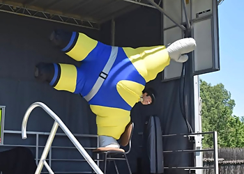 Right Choice Children's Entertainment Right Choice Children's Entertainment - Niagara Falls, ON Entertainment Companies - Event Entertainment Image