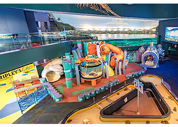 Toronto places to see Ripley's Aquarium of Canada