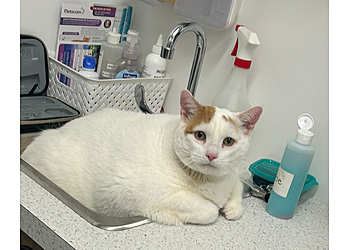 Oshawa veterinary clinic Ritson Veterinary Clinic