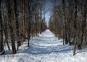 St Albert hiking trail Riverlot 56 Natural Area
