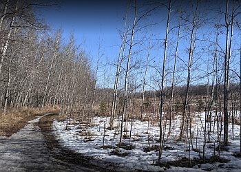 St Albert hiking trail Riverlot 56 Natural Area
