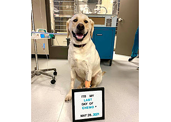 Moncton veterinary clinic Riverview Animal Health Centre