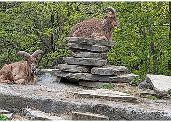 Peterborough places to see Riverview Park & Zoo