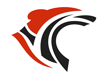 St Catharines Concepteur de sites Web Roar Solutions