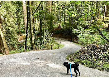 Burnaby hiking trail Robert Burnaby Park