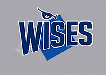 Robert J. Wise - Oakville, ON Intellectual Property Lawyers - Logo