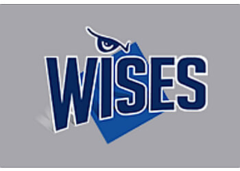 Oakville intellectual property lawyer Robert J. Wise - WISES PROFESSIONAL CORPORATION
