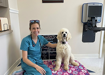 Robinson Pet Hospital - Milton, ON Veterinary Clinics - Doctor With Patient Image