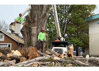 Kelowna Services d'arboriculteur Rob's Tree Care Ltd.