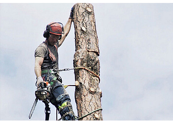 Kelowna Services d'arboriculteur Rob's Tree Care Ltd.