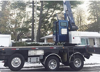Ottawa Services d'arboriculteur Rock's Tree Service