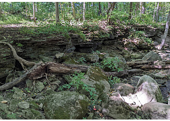 St Catharines hiking trail Rockway Conservation Area