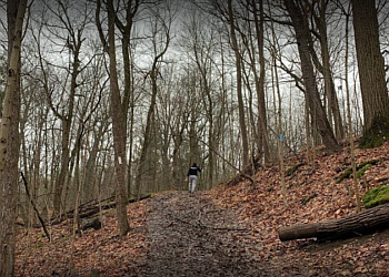 St Catharines hiking trail Rockway Conservation Area