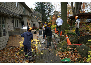 Mississauga Services d'arboriculteur Rooted Tree Services