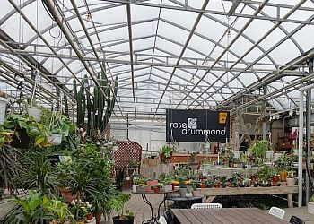 Drummondville florist Rose Drummond