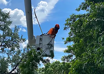 Rossco's Tree Service - Lethbridge, AB Services d'arboriculteur - Tree Removal Image