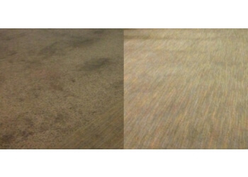 Markham carpet cleaning Roto-Static