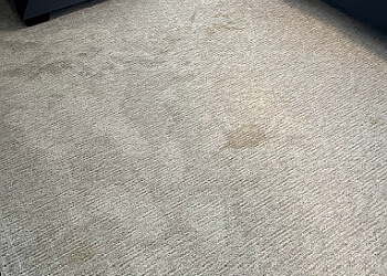 Norfolk carpet cleaning Roto-Static Norfolk