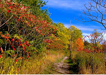Markham hiking trail Rouge National Urban Park